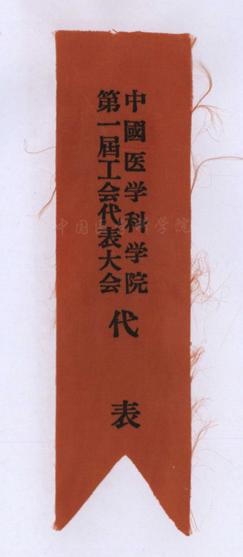 代表證_副本.jpg