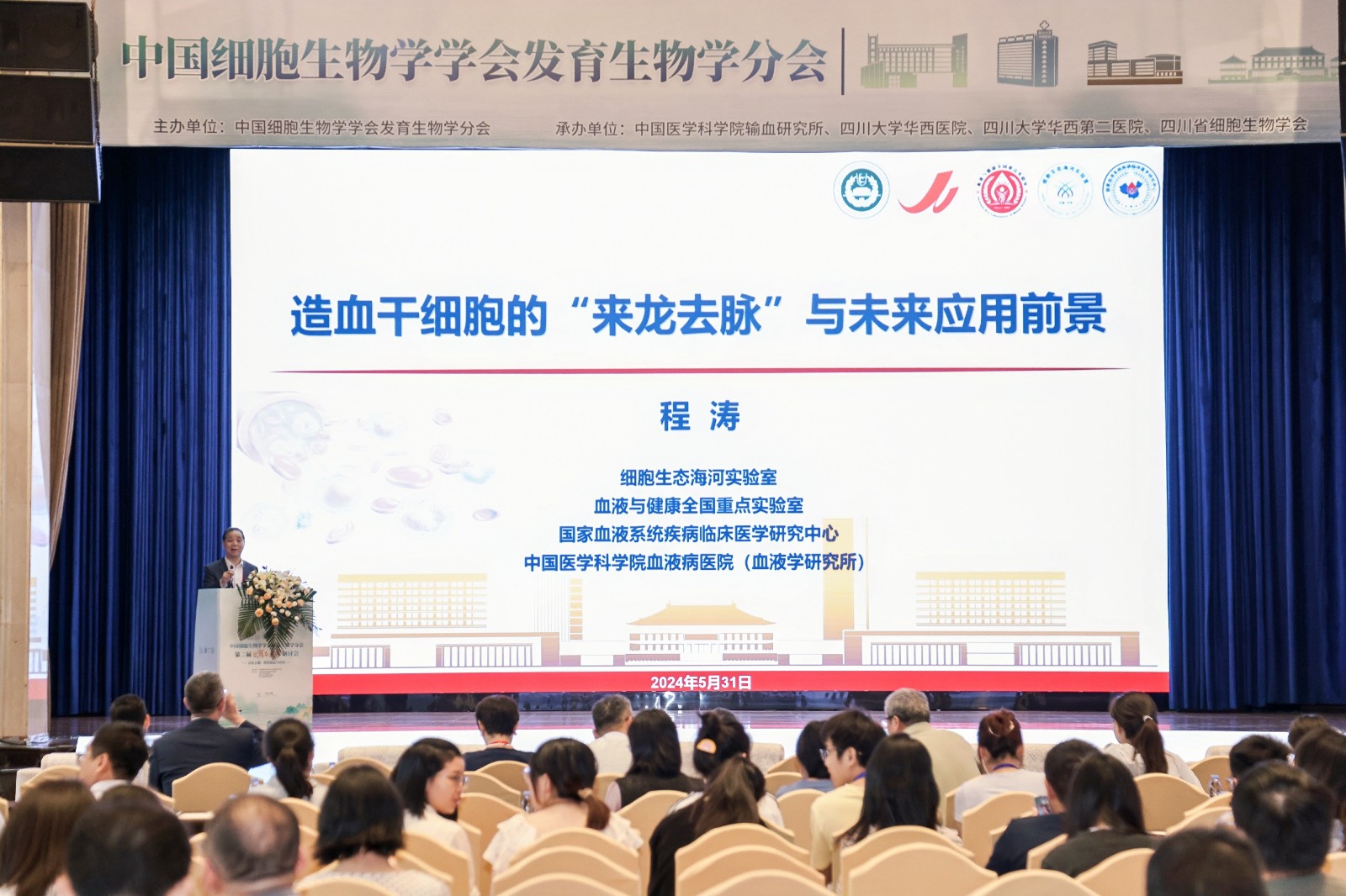 程濤教授.jpg