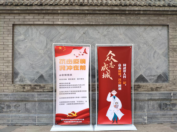 圖片6