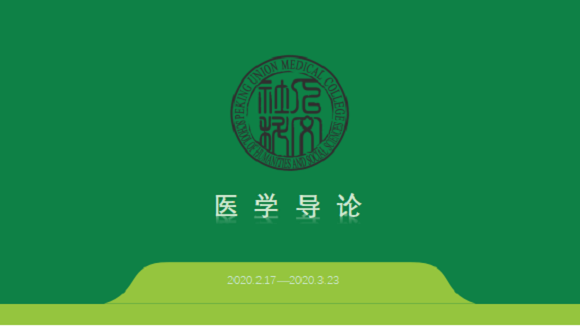 圖片1