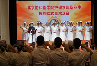 圖片14