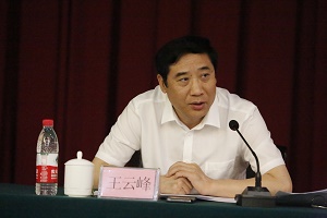 王書記s