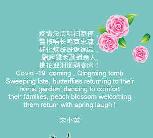 圖片7