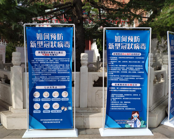 圖片7